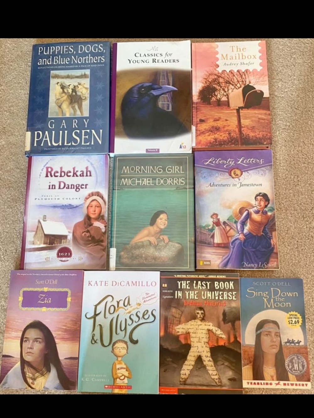 Lot 10 Chapter Books Fiction Grade 3 4 5 6 7 Elementary Middle School Ages 8-12